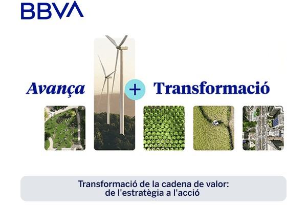 Transformación de la cadena de valor: de la estrategia a la acción