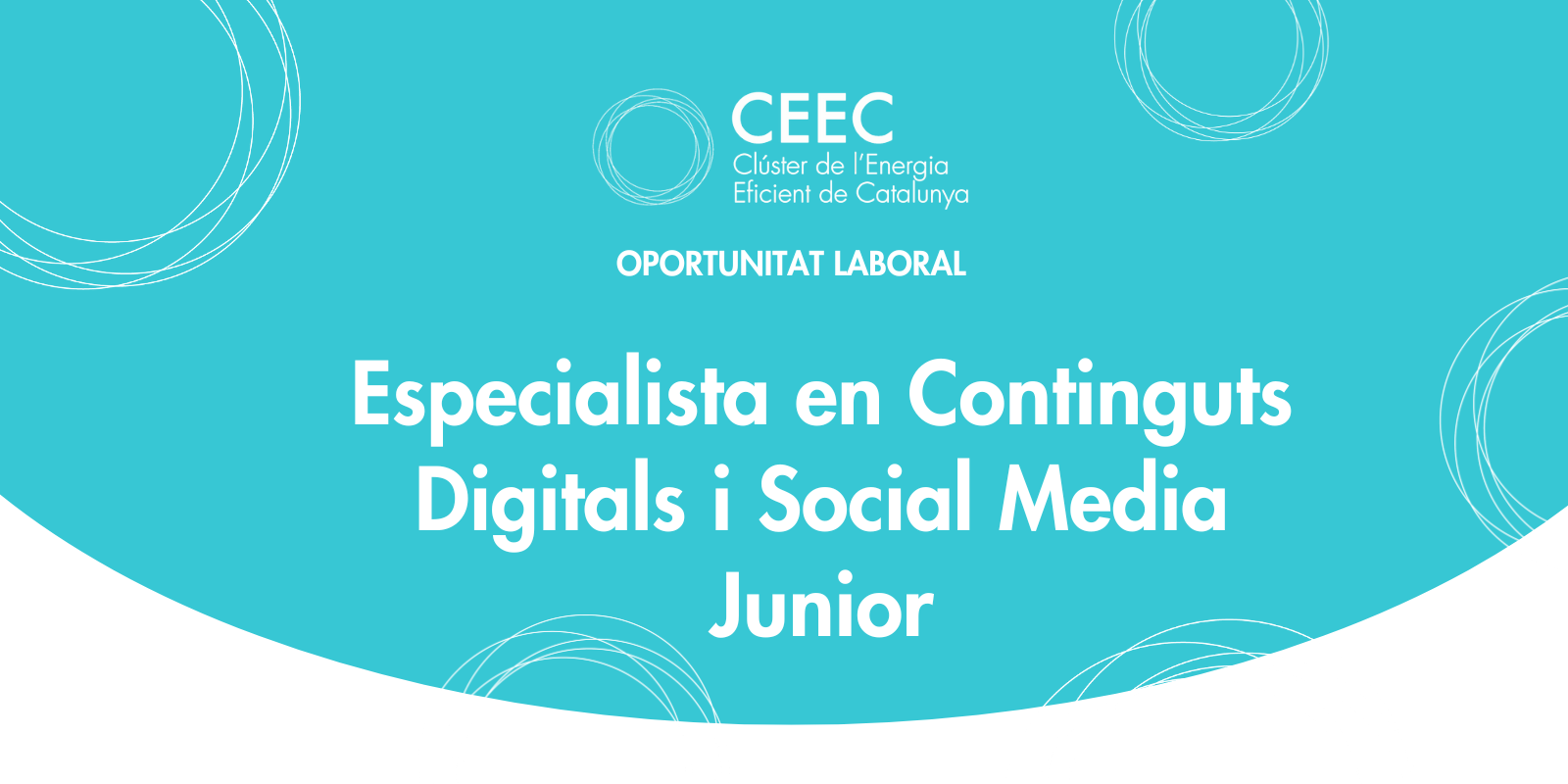 El CEEC busca nou Especialista Junior en Continguts Digitals i Social Media