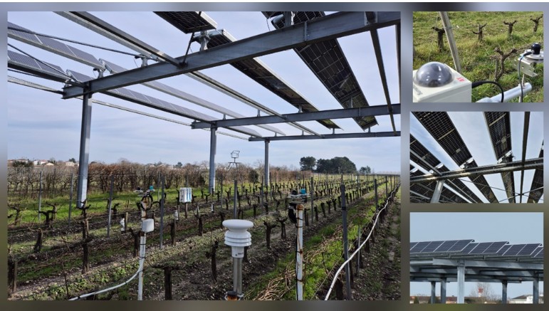 TECSOL-FRUT impulsarà la tecnologia agrivoltaica per millorar el rendiment i la sostenibilitat dels cultius fruiters
