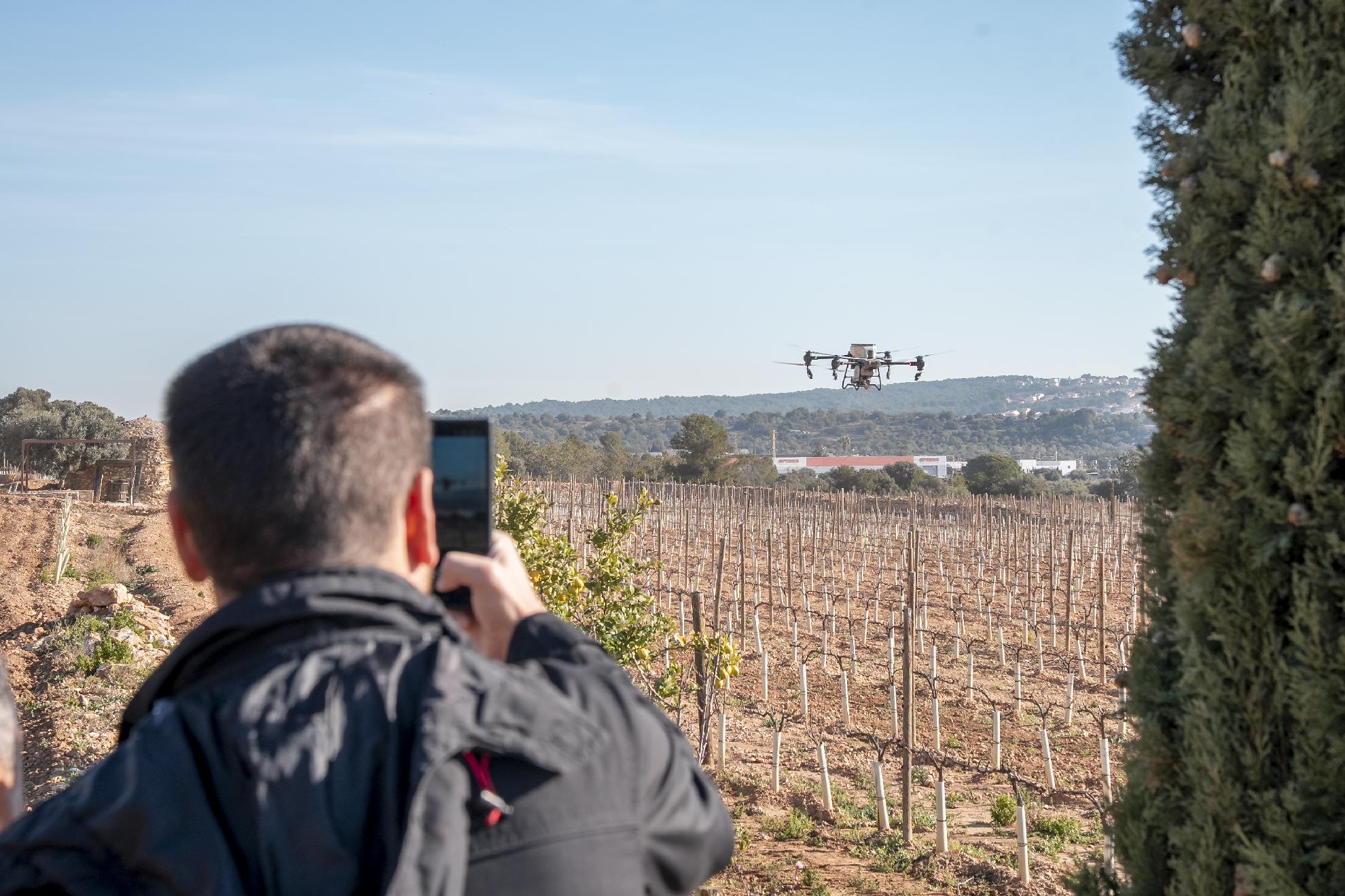 <h1>INNOVI: EL CLÚSTER VITIVINÍCOLA DE CATALUNYA</h1><br><a href='/quien-somos/' class='btn-slider-rosa' draggable='false'>CONEIXE'NS</a>