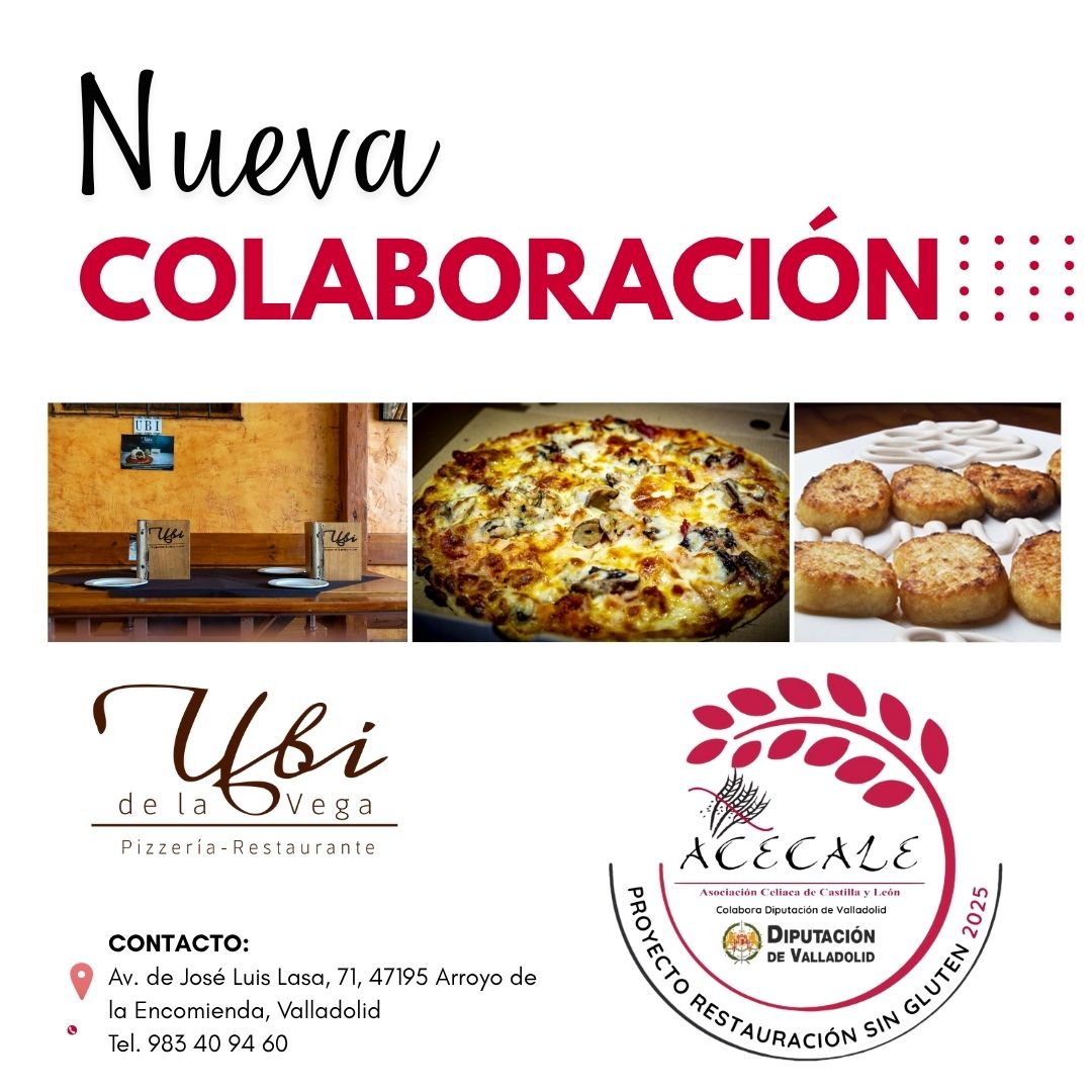 Nueva Colaboración: UBI DE LA VEGA se une al Proyecto de Restauración de ACECALE
