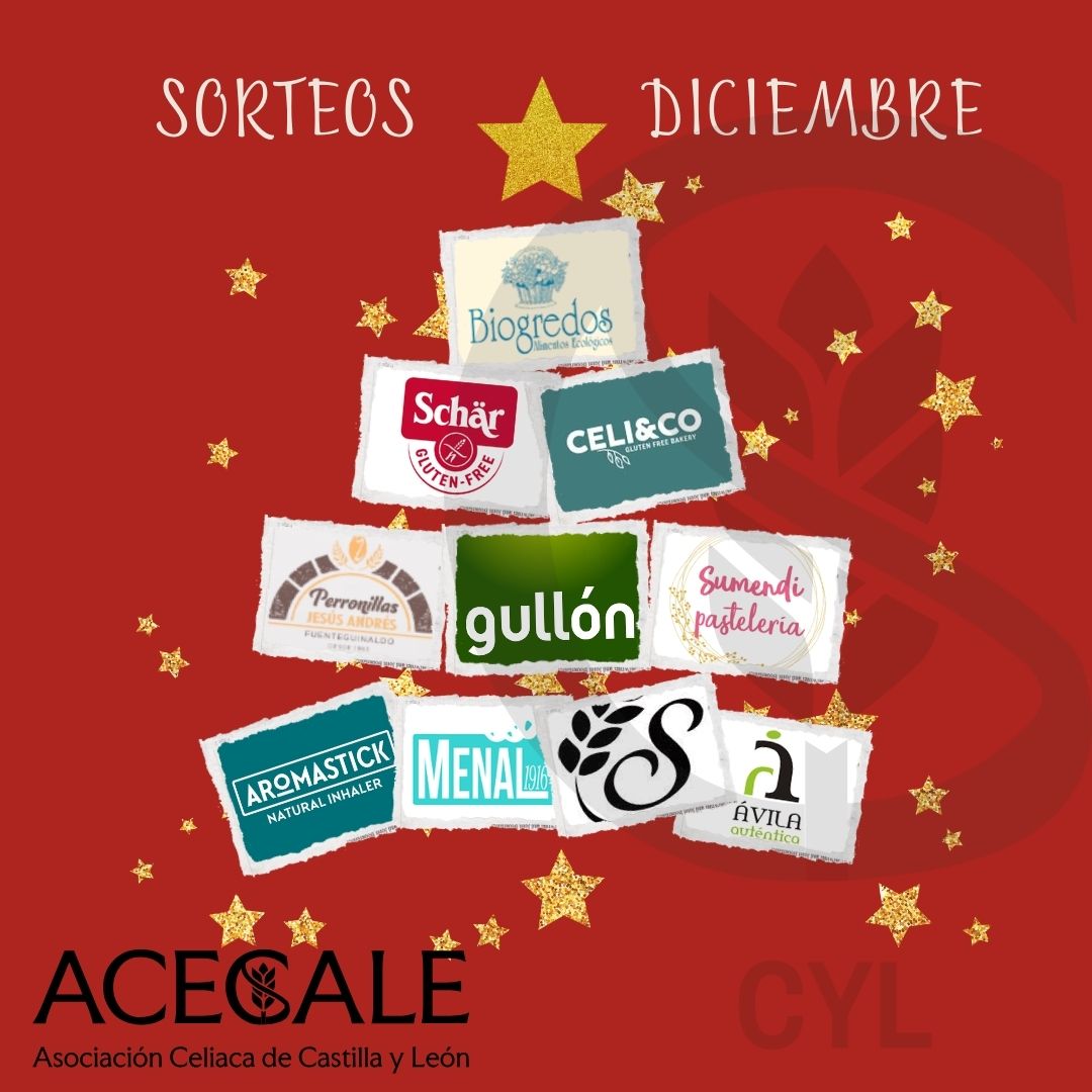 🎉 ¡Diciembre llega cargado de sorpresas! 🎁