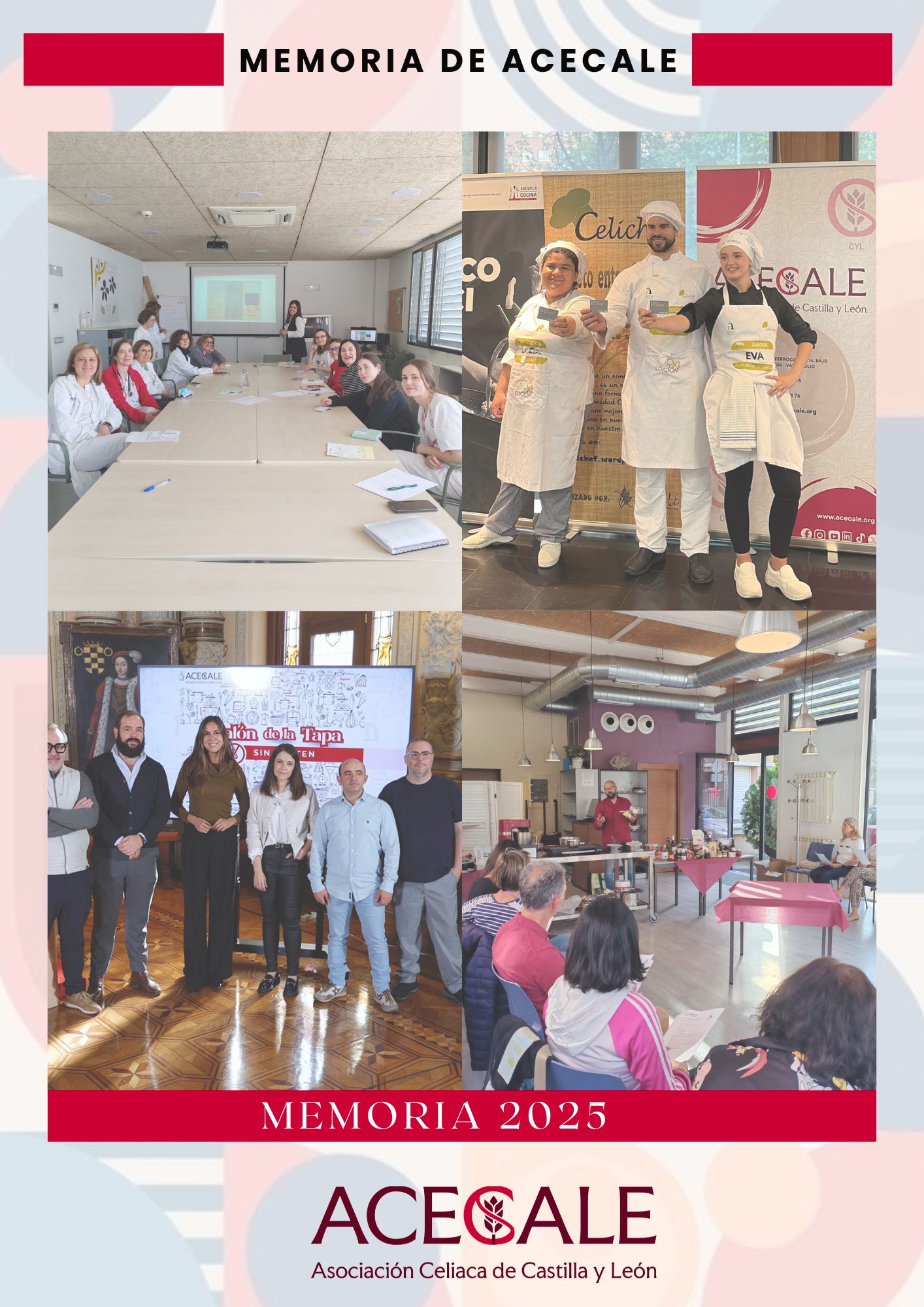 📰 Ya disponible la revista de ACECALE 2025