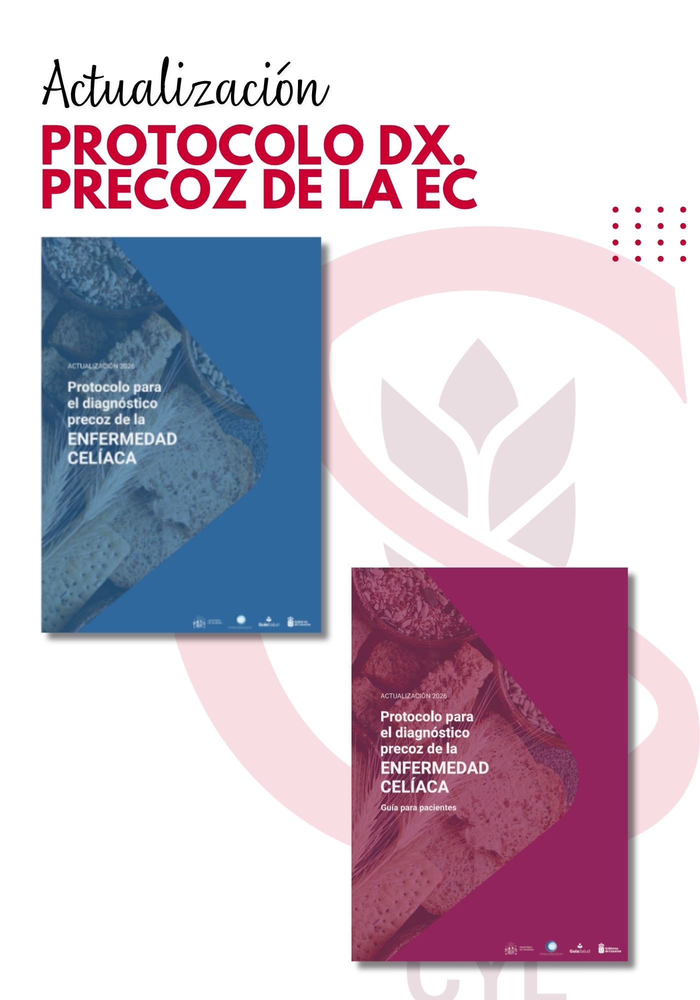 Actualización del Protocolo de Diagnóstico Precoz de la Enfermedad Celíaca
