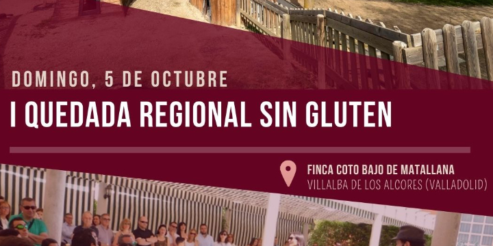 ENTRADAS QUEDADA REGIONAL SIN GLUTEN