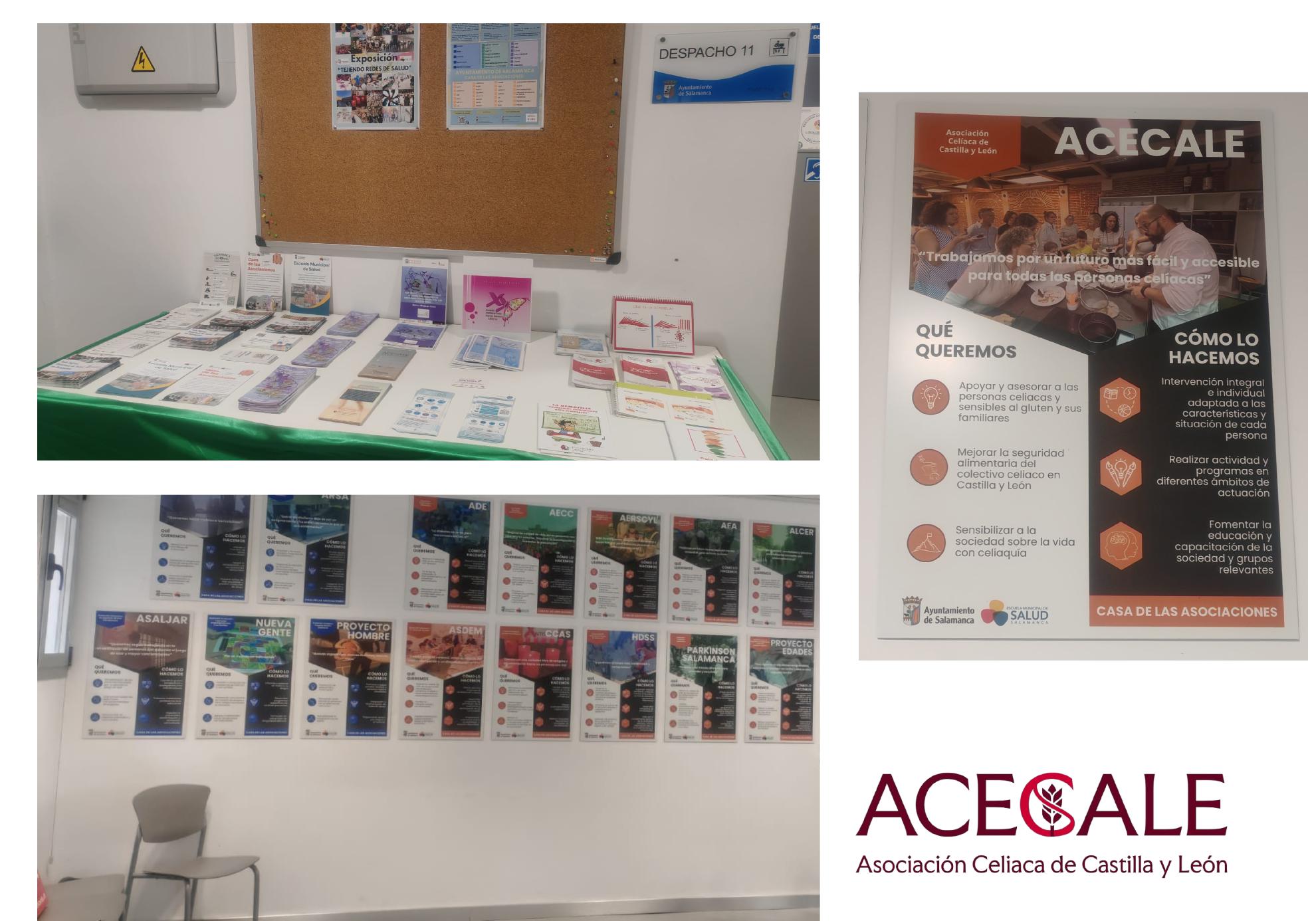 "Tejiendo redes de salud" jornada organizada por Escuela de Salud de Salamanca