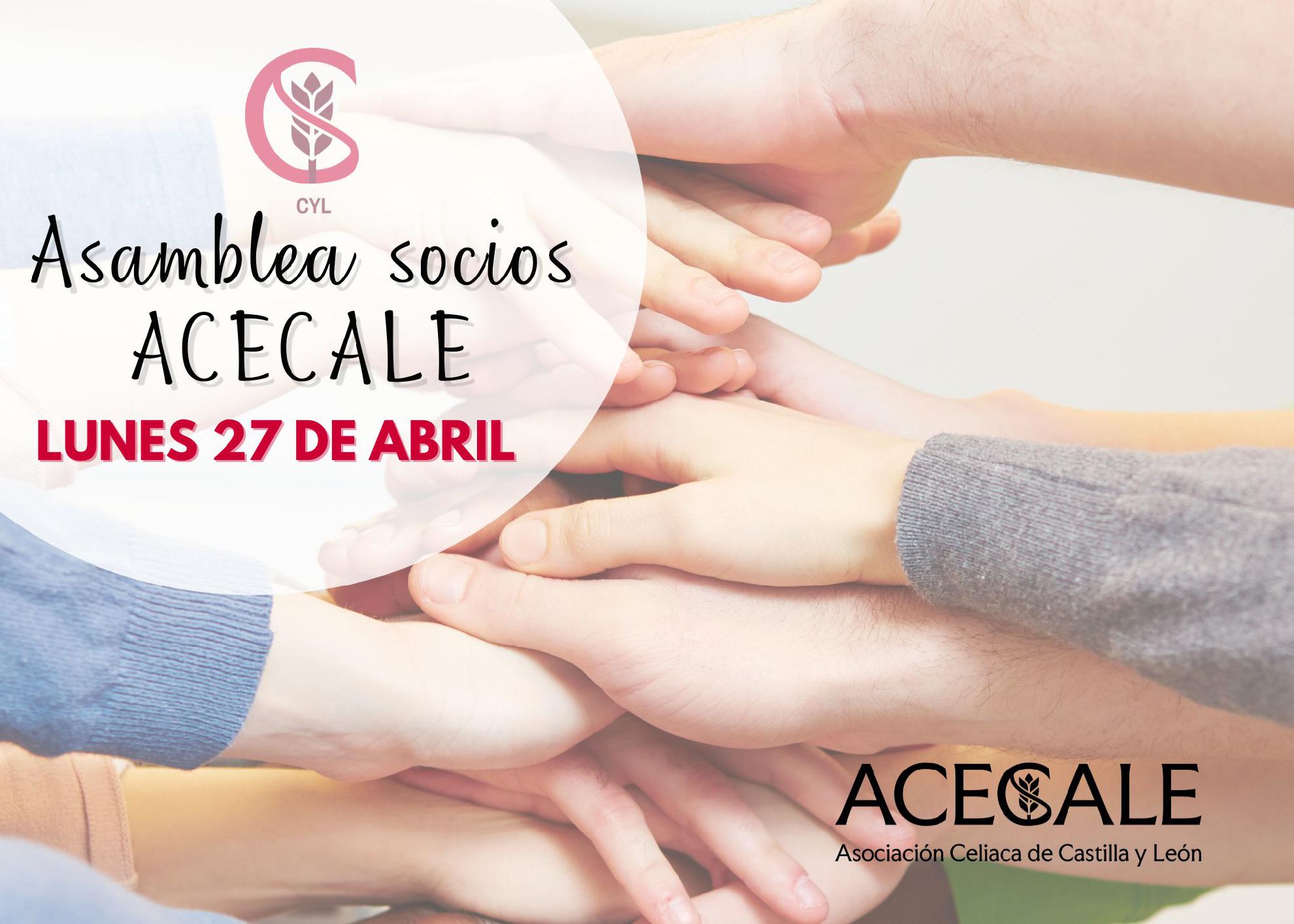 ASAMBLEA SOCIOS ACECALE 2026