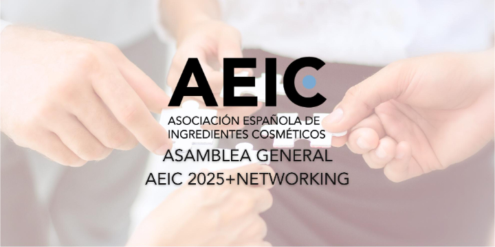 Asamblea general AEIC 2025+networking