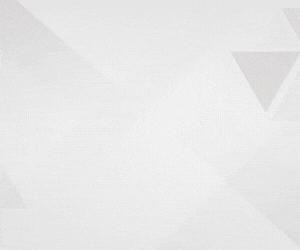 REPAGAS 300x250.gif