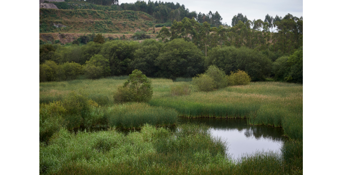 Aminer alcanza las 90 entidades asociadas con la incorporación de Cobre San Rafael