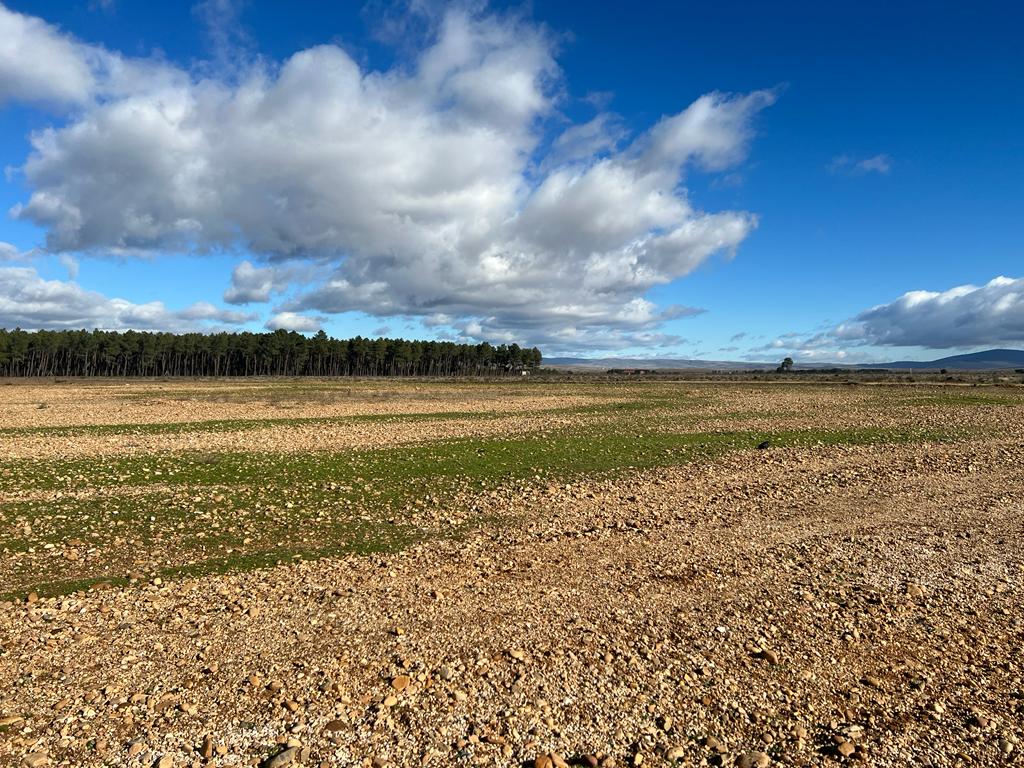 Redexis adjudica a 1A Ingenieros el proyecto constructivo de la planta de producción de hidrógeno verde de Garray