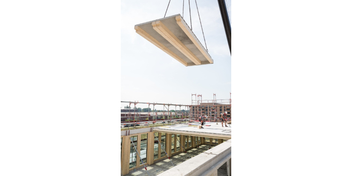 Sistemas estructurales hibridos con madera