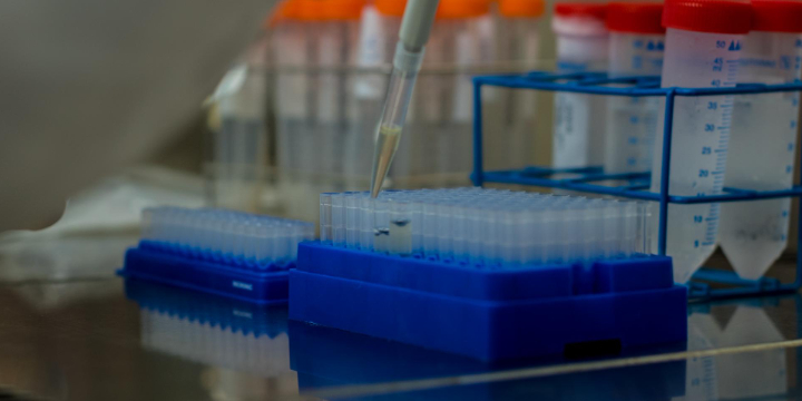 Fisabio y la Universitat Jaume I de Castellón buscan colaboración para investigar el síndrome de  Smith-Lemli-Opitz (SLOS)