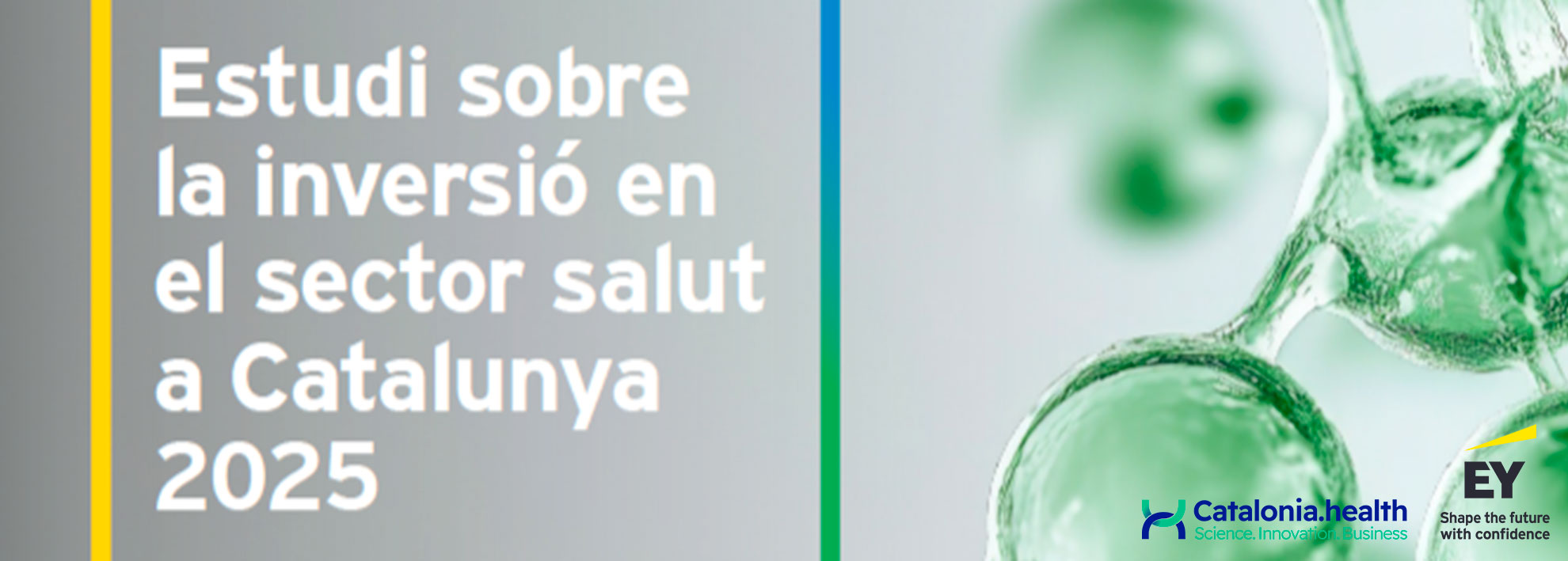 L'estudi d'inversió en el sector salut ja està disponible