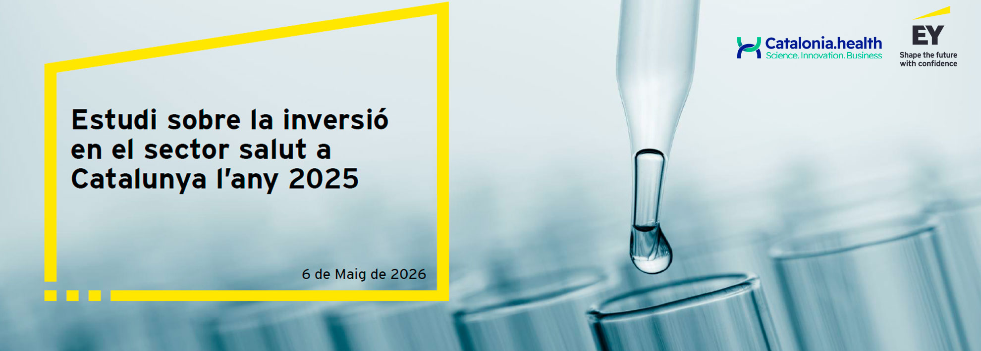 Estudi d'Inversió en Salut 2025
