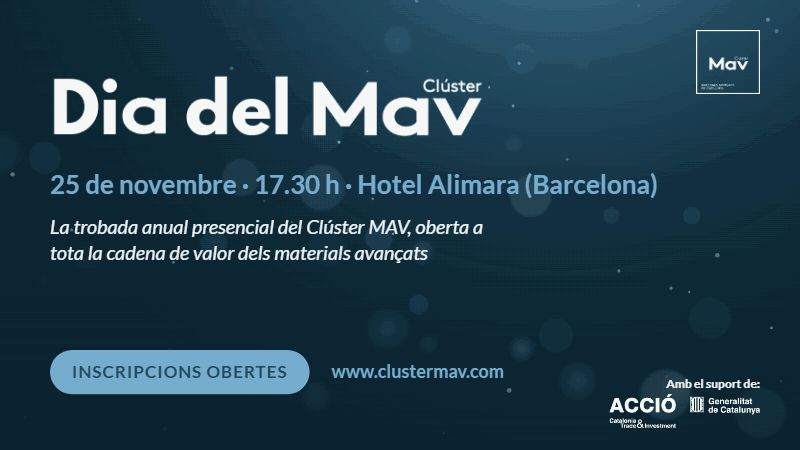 DIA DEL MAV 2026