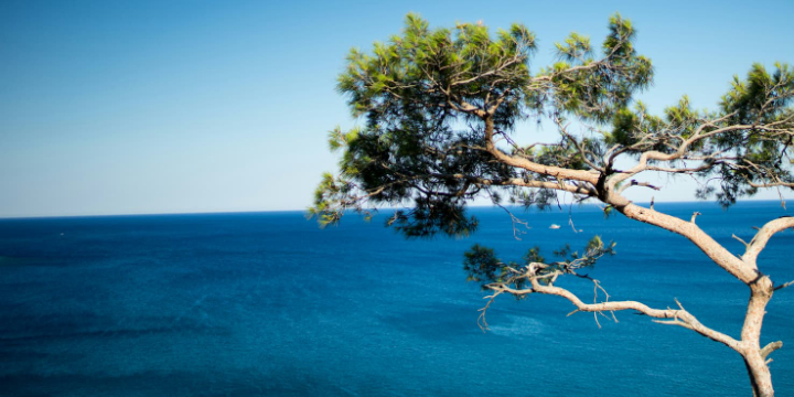 UNESCOMED y MedMaB, seleccionados para impulsar la sostenibilidad en el Mediterráneo con PRIMA